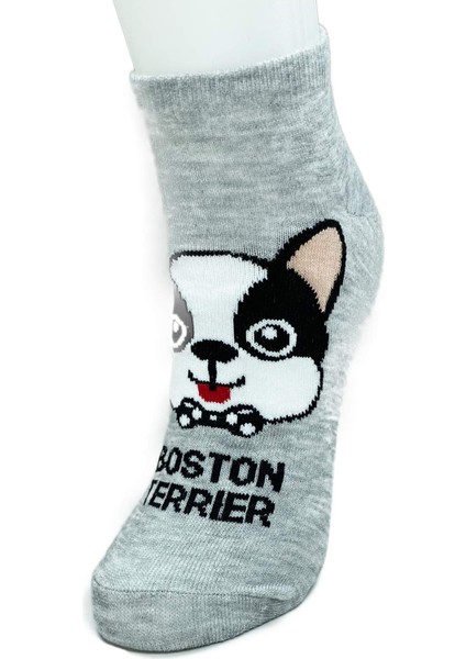 3 Çift Sevimli Köpek Temalı Baskılı Yumuşak Kadın Bilek Çorap fiyatları