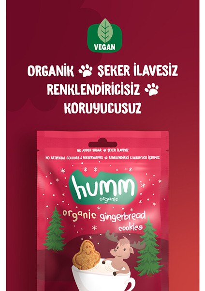 Organik Vegan Zencefilli ve Tarçınlı Kurabiye 55 gr (2 Adet) fiyatları