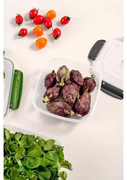 Kare 5 Parça Contalı Vakumlu Sızdırmaz Hava Almaz Saklama Kabı Seti (3750/2400/1500/900/500 Ml) fırsatları