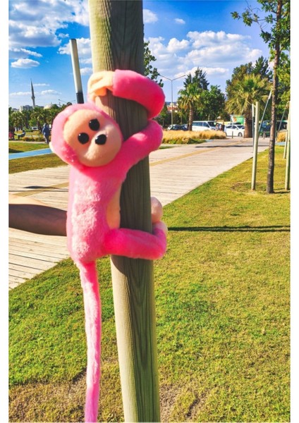 Sevimli 30 cm Orta Boy Renkli Sarılan Sesli Peluş Maymun Oyuncak 3 Lü Paket