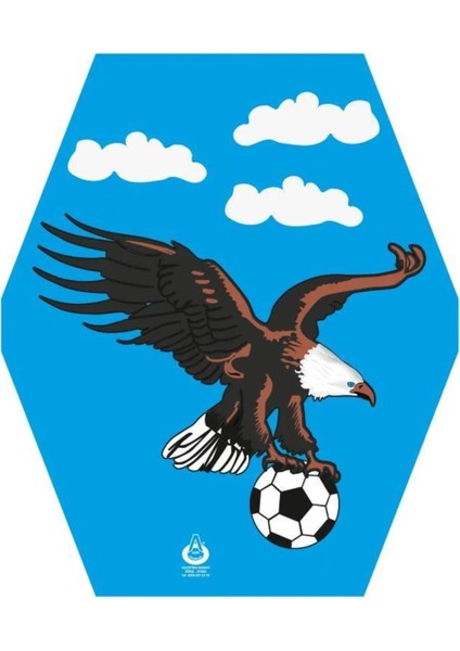 Kartal Desenli Altıgen Uçurtma + 50MT Ipli