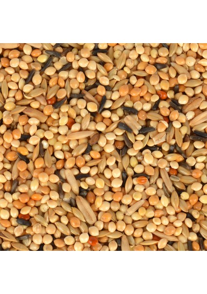 Yavru Muhabbet Yemi 400 gr x 3 Adet fırsatları