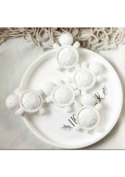 Şans Kaplumbağasıtaş Boyama, 15 Adet Okul Öncesi Boyama Etkinliği, Doğum Gunu Hediyesi, Beton Taş Boyama