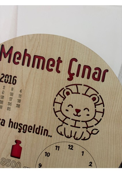 Yeni Doğan Isime Özel Doğum Panosu | Aslan Figürlü Doğum Hediyesi Standlı ve Asılabilir | 20 cm modelleri