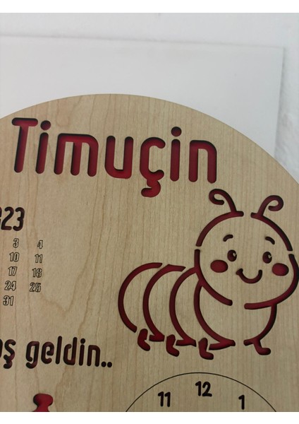 Yeni Doğan Isime Özel Doğum Panosu | Tırtıl Figürlü Doğum Hediyesi Standlı ve Asılabilir | 20 cm modelleri