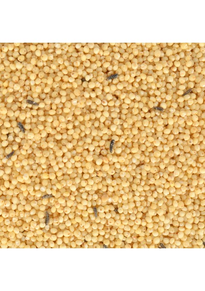 Kabuksuz Muhabbet Yemi 400 gr x 3 Adet fırsatları