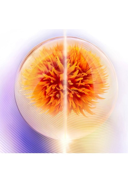 Vital Perfection Advanced Soft Cream - Yaşlanma Karşıtı Gelişmiş Bakım Kremi 50 ml fırsatları