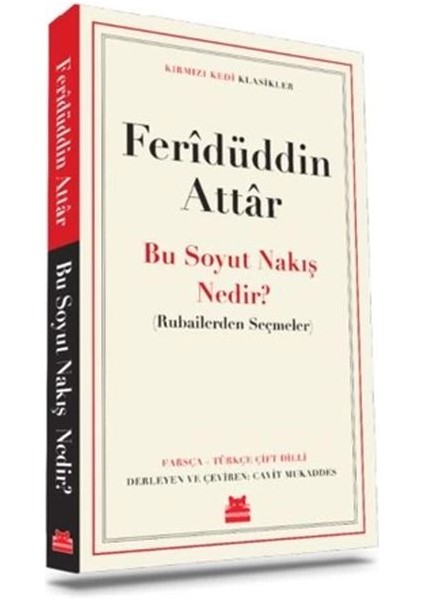 Bu Soyut Nakış Nedir?