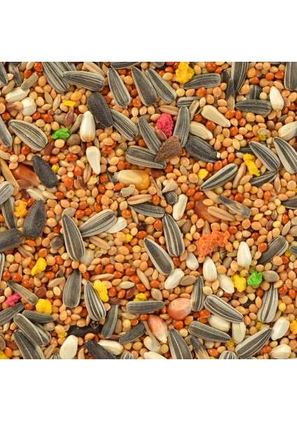 Sultan Papağanı Paraket Yemi 750 gr x 2 Adet fırsatları