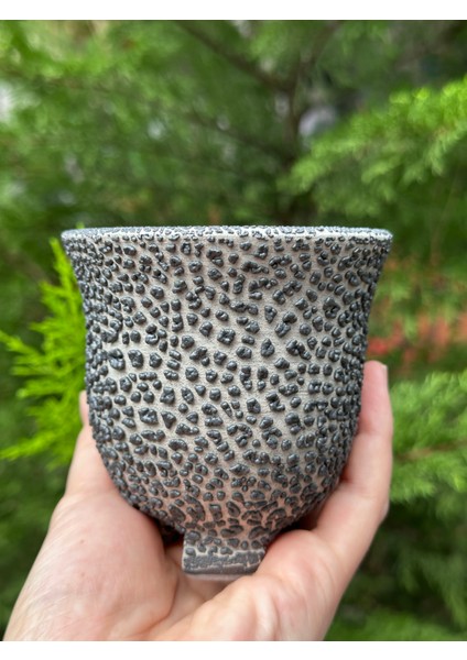 Sır Kaplı Estetik Özel Seramik Saksı