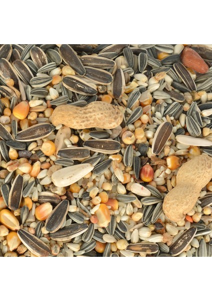 Papağan Yemi 750 gr x 2 Adet fırsatları