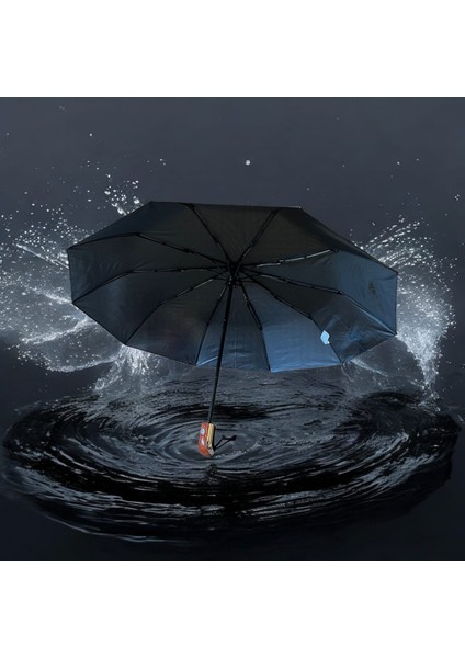 Rubenis 10 Telli Tam Otomatik Elit Erkek Şemsiye fiyatları