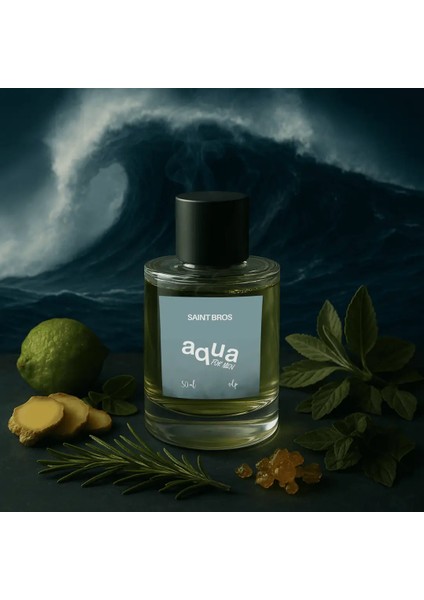 Aqua Erkek Parfümü ( Aqua Di ) Edp