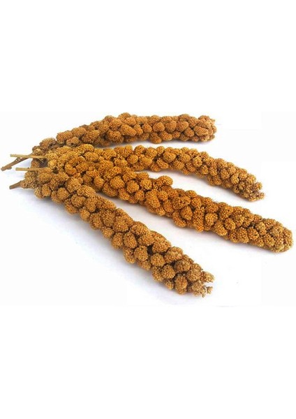 Doğal Dal Darı Tüm Kuşlar Için 5'li X2 Paket modelleri