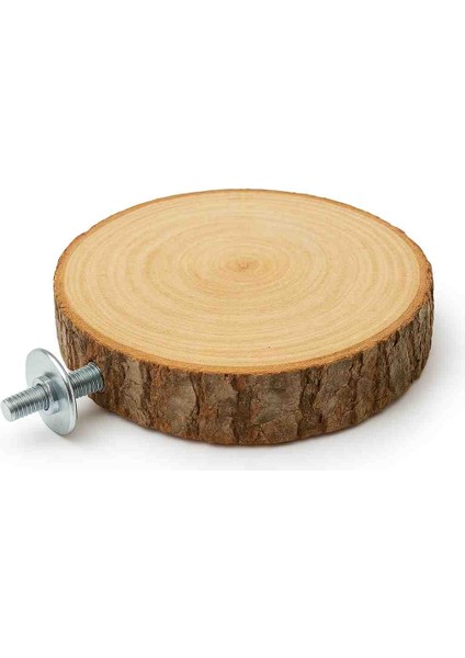 Doğal Meşe Platform Tünek – Minik Ayakların Güvenli Durağı