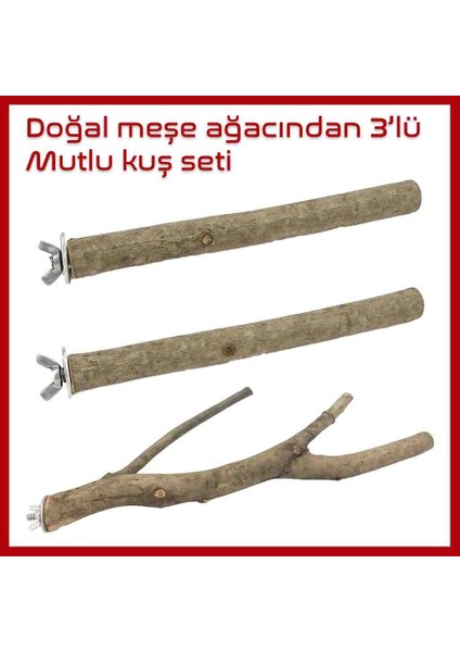 Doğal Meşe Kuş Tüneği Seti (1 Çatal + 2 Düz Dal) Meşe Ağacı Tohumu ve Yemlik Hediyeli