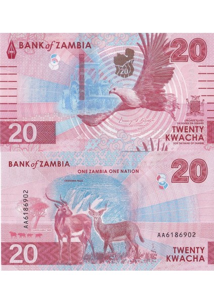 Zambiya 2024 Yılı 20 Kwacha Yabancı Kağıt Para Çil ( Unc ) Koleksiyon Para