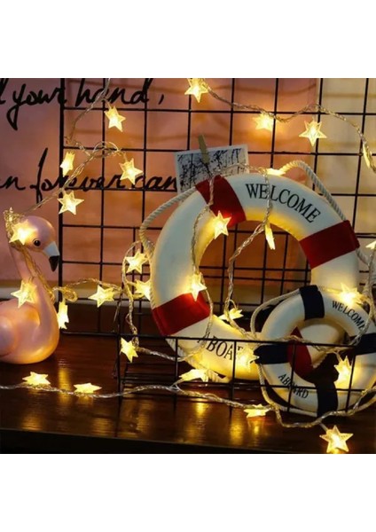 10M 60 LED Yıldız Lamba modelleri