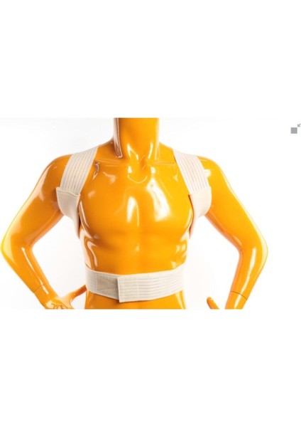 Konforlu ve Şık Duruş Desteği Korsesi, Standart Bedende Rahatlık