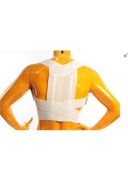 Konforlu ve Şık Duruş Desteği Korsesi, Standart Bedende Rahatlık fiyatları