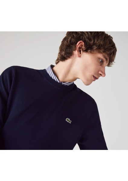 Bisiklet Yaka Regular Fit Erkek Triko modelleri