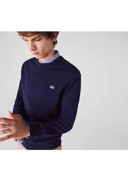 Bisiklet Yaka Regular Fit Erkek Triko fırsatları