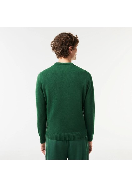 Bisiklet Yaka Regular Fit Erkek Triko modelleri