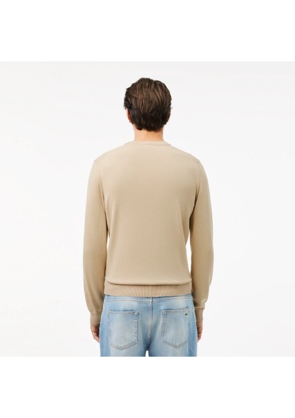 Bisiklet Yaka Regular Fit Erkek Triko modelleri