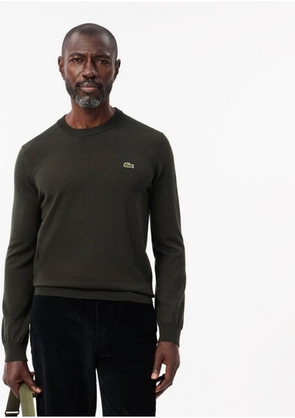 Bisiklet Yaka Regular Fit Erkek Triko