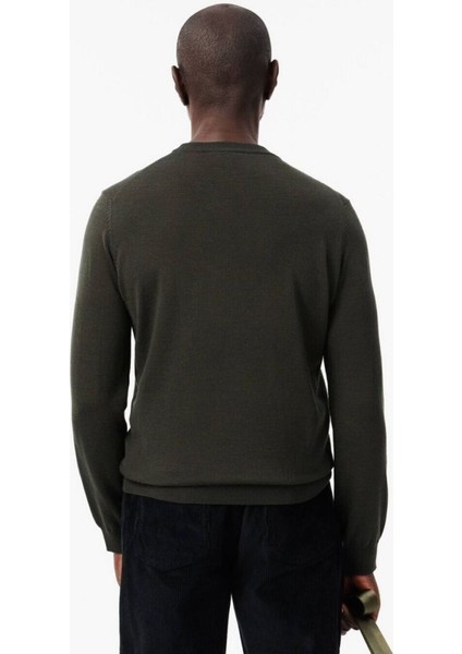 Bisiklet Yaka Regular Fit Erkek Triko fırsatları