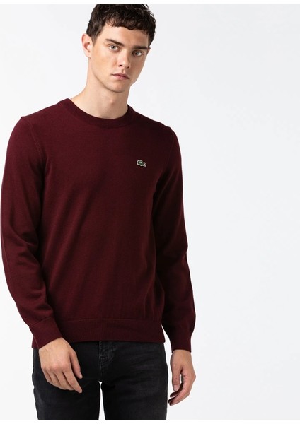 Bisiklet Yaka Regular Fit Erkek Triko