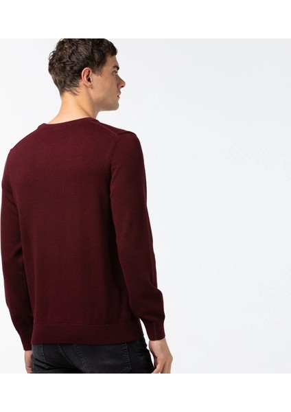 Bisiklet Yaka Regular Fit Erkek Triko fiyatları