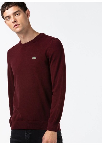 Bisiklet Yaka Regular Fit Erkek Triko modelleri