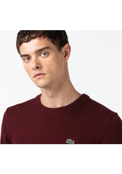 Bisiklet Yaka Regular Fit Erkek Triko fırsatları