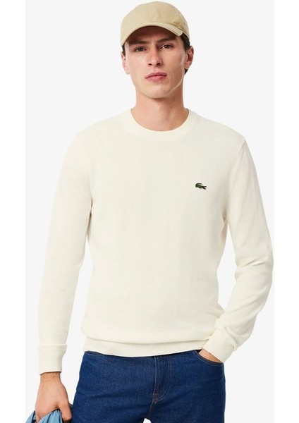 Bisiklet Yaka Regular Fit Erkek Triko