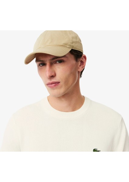 Bisiklet Yaka Regular Fit Erkek Triko fiyatları