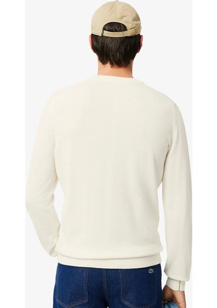 Bisiklet Yaka Regular Fit Erkek Triko modelleri