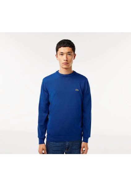 Bisiklet Yaka Regular Fit Erkek Triko