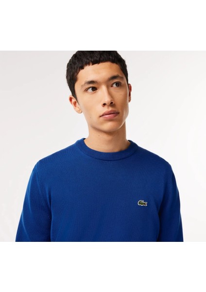 Bisiklet Yaka Regular Fit Erkek Triko fiyatları