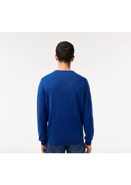 Bisiklet Yaka Regular Fit Erkek Triko modelleri