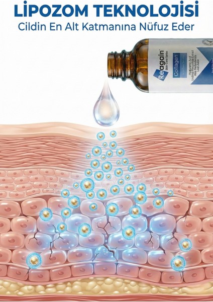 Dolgunlaştırıcı ve Yoğun Nemlendirici Kolajen, Hyaluronic Acid, Algae Cilt Bakım Serumu 30 ml fırsatları