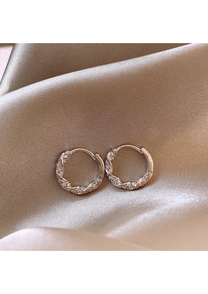 Basit Zirkonya Küçük Küpeler Küpeler Küpeler Niş Işık Lüks Kıdemli Bitkisel Halka Küpe Duygusu Moda Mizaç Yüz Küpe Aksesuarları ile (Yurt Dışından)