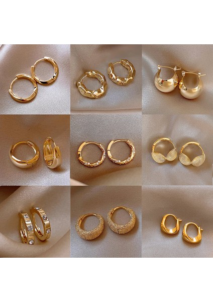 Basit Zirkonya Küçük Küpeler Küpeler Küpeler Niş Işık Lüks Kıdemli Bitkisel Halka Küpe Duygusu Moda Mizaç Yüz Küpe Aksesuarları ile (Yurt Dışından) fiyatları