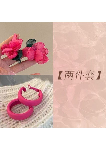 Gül Kırmızı Kalp Küpe Kadın Anlamda Mizaç Niş Tasarım Baharatlı Kız Küpe Küpe Dopamin Beyazlatma Küpe G (Yurt Dışından)