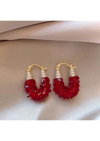 Yüksek Kaliteli 925 Gümüş Iğne Ankora Kırmızı Küpe Retro Işık Lüks Kıdemli Zirkonya Küpe Duygusu Basit Küpe Kadın (Yurt Dışından)