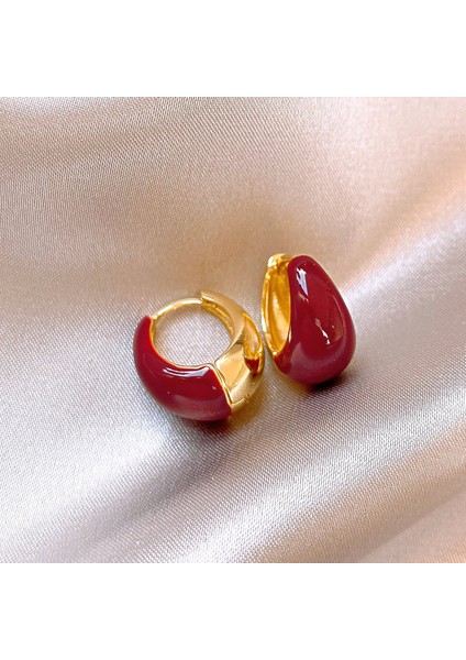 Yüksek Kaliteli 925 Gümüş Iğne Ankora Kırmızı Küpe Retro Işık Lüks Kıdemli Zirkonya Küpe Duygusu Basit Küpe Kadın (Yurt Dışından)