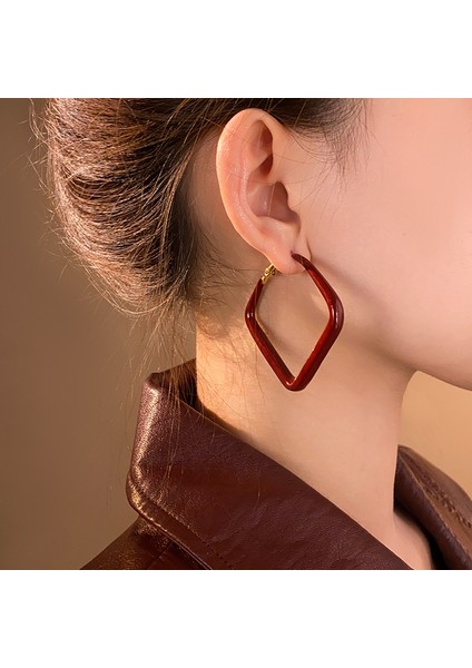 Yüksek Kaliteli 925 Gümüş Iğne Ankora Kırmızı Küpe Retro Işık Lüks Kıdemli Zirkonya Küpe Duygusu Basit Küpe Kadın (Yurt Dışından)