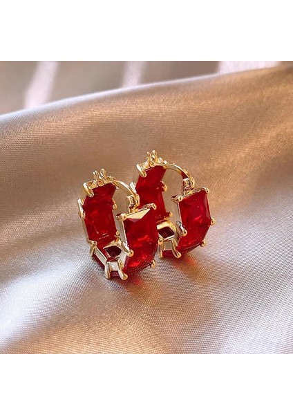 Yüksek Kaliteli 925 Gümüş Iğne Ankora Kırmızı Küpe Retro Işık Lüks Kıdemli Zirkonya Küpe Duygusu Basit Küpe Kadın (Yurt Dışından)