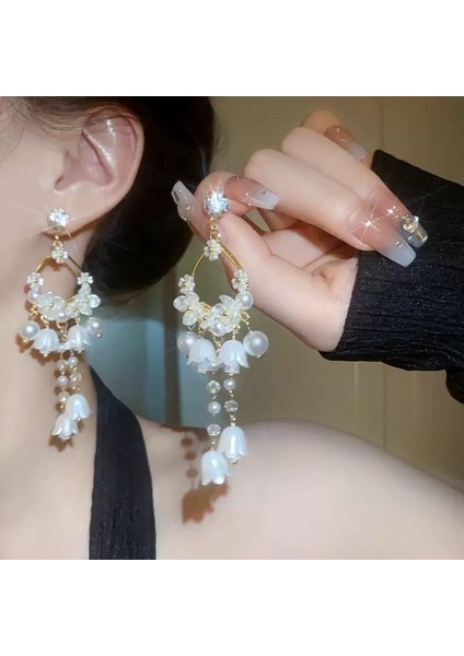 Avrupa ve Amerika Birleşik Devletleri Modasında Kıdemli Atmosfer Mizaç Küpeleri Duygusu Atılı Elmas Taklidi Uzun Püskül Küpeler Kadın (Yurt Dışından)