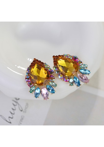 Ağır Hizmet Tipi Renkli Zirkon Küpeler Niş Tasarım Mizaç Çiçek Küpeler Hafif Lüks Üst Düzey Küpe Takı Duygusu (Yurt Dışından)